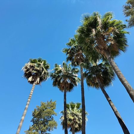 Vas Malaga Ciudad Hotel Bagian luar foto