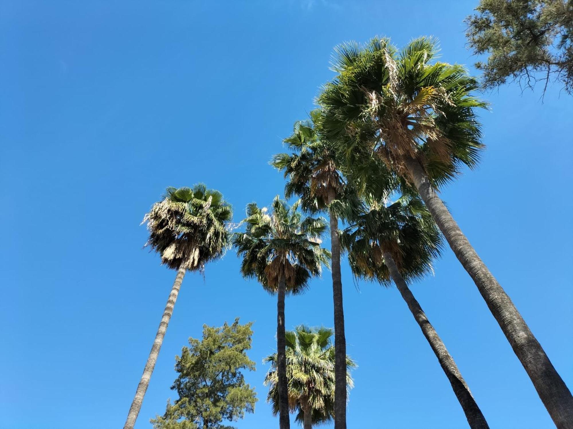 Vas Malaga Ciudad Hotel Bagian luar foto